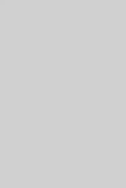 Уличный газовый обогреватель WWT 13I Rotang Grey 