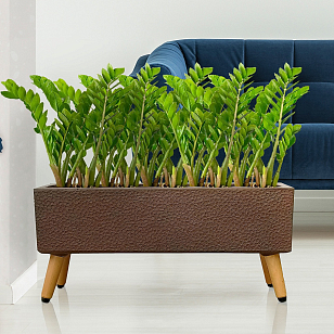 Кашпо Idealist Lite Урбан напольное прямоугольное с подставкой 58 Цвет: кофе, уличное оборудование