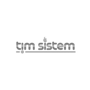 Tim sistem