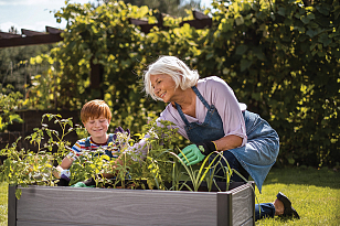 Кашпо-грядка Keter Maple House Цвет: серый, уличное оборудование