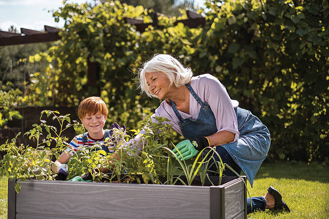 Кашпо-грядка Keter Maple House Цвет: серый 