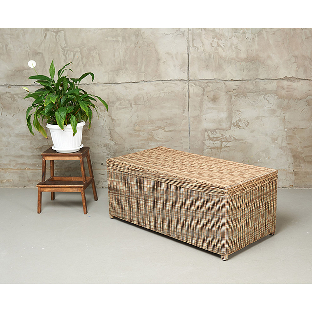 Сундук для хранения Lite Karl 120 Цвет: бежевый 