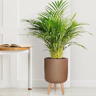 Кашпо Idealist Lite Урбан напольное круглое с подставкой D46 Цвет: кофе, уличное оборудование