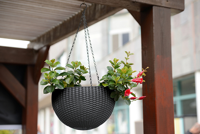 Кашпо Keter под ротанг подвесное Hanging Sphere Planter мокка 