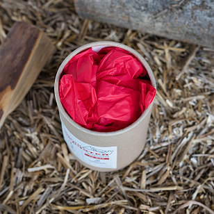 Одежда и аксессуары Перчатки одноразовые St.Tomato в тубусе красные L для BBQ