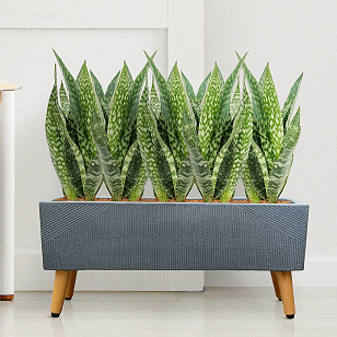 Кашпо Idealist Lite Урбан напольное прямоугольное с подставкой 58 Цвет: антрацит, уличное оборудование