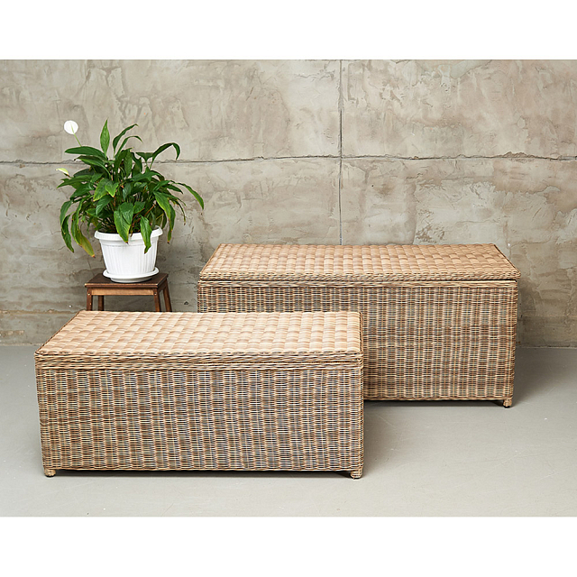 Сундук для хранения Lite Karl 120 Цвет: бежевый 