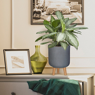 Кашпо Idealist Lite Урбан настольное круглое с подставкой D24 Цвет: антрацит, уличное оборудование