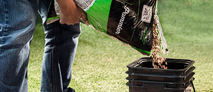 Насыщенный 