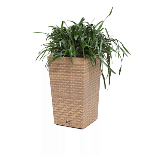 Кашпо 4SIS Капучино, цвет соломенный, уличное оборудование