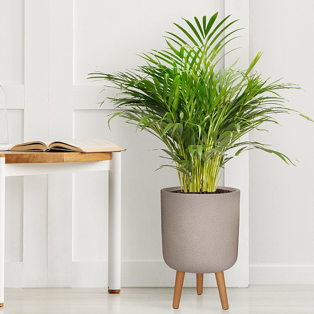 Кашпо Idealist Lite Урбан напольное круглое с подставкой D46 Цвет: серо-коричневый 