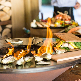 Дровяной гриль-очаг OFYR Classic 85-100 OC для приготовления пищи Дровяной гриль-очаг OFYR Classic 85-100 OC для сада