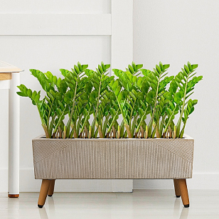 Кашпо Idealist Lite Урбан напольное прямоугольное с подставкой 65 Цвет: бежевый, уличное оборудование