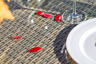 Обеденная группа Joygarden Rome с подлокотниками, садовая мебель