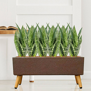 Кашпо Idealist Lite Урбан напольное прямоугольное с подставкой 65 Цвет: кофе, уличное оборудование