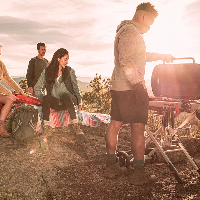 гриль газовый на подставке weber traveler