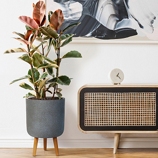 Кашпо Idealist Lite Урбан напольное круглое с подставкой D63 Цвет: антрацит, уличное оборудование