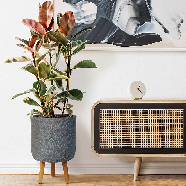 Кашпо Idealist Lite Урбан напольное круглое с подставкой D46 Цвет: антрацит 