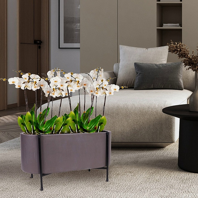 Кашпо Idealist Lite Таун Куб напольное с подставкой 44 Цвет: кофе 