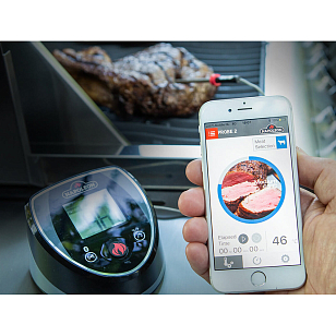 Комплект из двух дополнительных термощупов для Bluetooth термометра Napoleon для сада