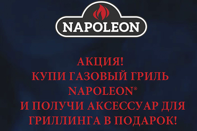Наполеон новогодняя акция