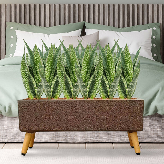 Кашпо Idealist Lite Урбан напольное прямоугольное с подставкой 65 Цвет: кофе 