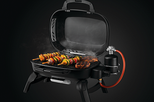 Гриль газовый Napoleon TravelQ 240 для приготовления пищи гриль газовый napoleon travelq 240