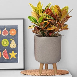 Кашпо Idealist Lite Урбан настольное круглое с подставкой D24 Цвет: серо-коричневый, уличное оборудование