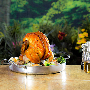 Ростер для курицы Char-Broil с подставкой для емкости для сада