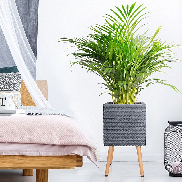 Кашпо Idealist Lite Таун Куб напольное с подставкой 30 Цвет: антрацит 