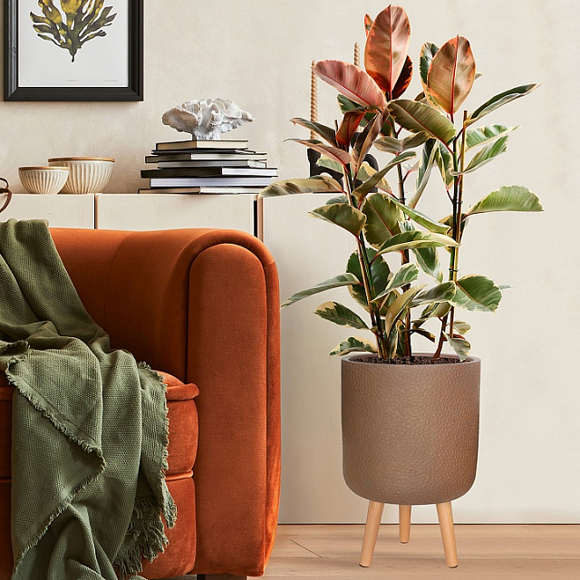 Кашпо Idealist Lite Урбан напольное круглое с подставкой D46 Цвет: кофе 