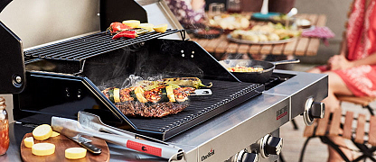 Боковые пристолья