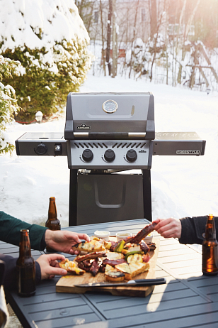 газовый гриль napoleon freestyle 365 sb (с конфоркой)
