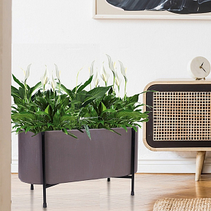 Кашпо Idealist Lite Таун Куб напольное с подставкой 58 Цвет: кофе, уличное оборудование