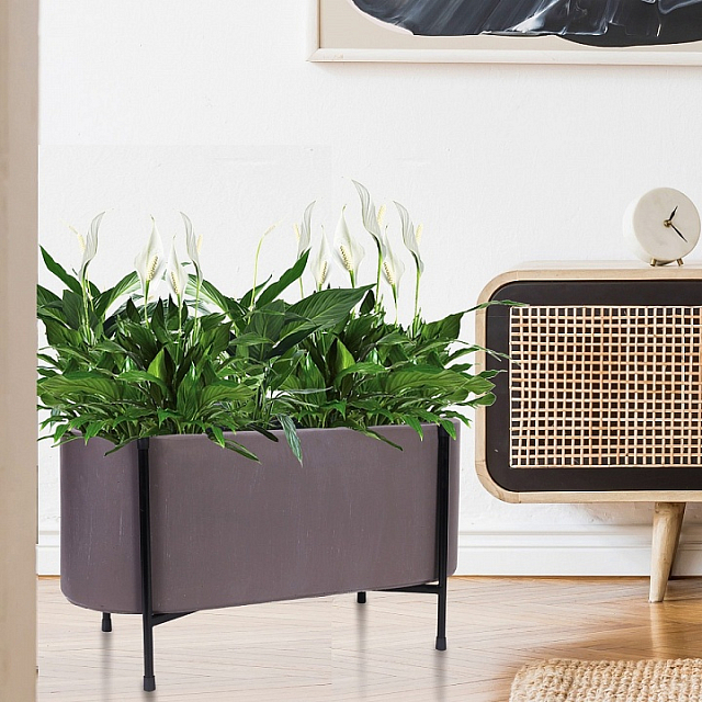 Кашпо Idealist Lite Таун Куб напольное с подставкой 58 Цвет: кофе 