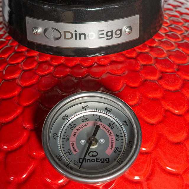 керамический угольный гриль dinoegg classic red