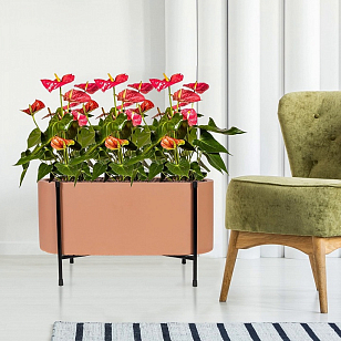 Кашпо Idealist Lite Таун Куб напольное с подставкой 58 Цвет: терракот, уличное оборудование
