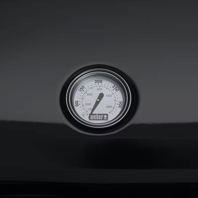 Гриль электрический Weber Lumin