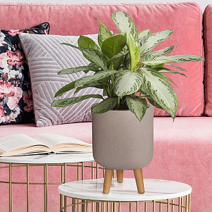 Кашпо Idealist Lite Урбан настольное круглое с подставкой D24 Цвет: серо-коричневый, уличное оборудование