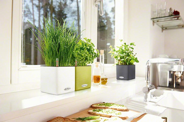 Кашпо с автополивом Lechuza Cube Color 16 Цвет: бежевый 