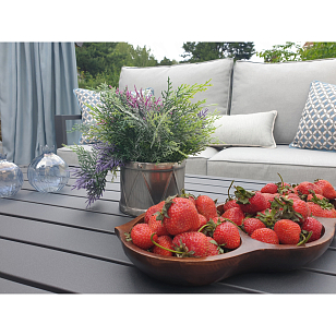 Вишневый садъ