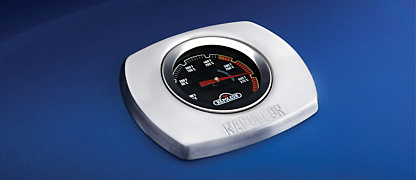 Датчик температуры ACCU-PROBE™