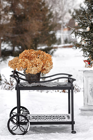 Сервировочный стол Вишневый Садъ Классик, садовая мебель