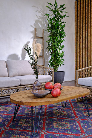 Лаунж зона Joygarden Charlotte, садовая мебель