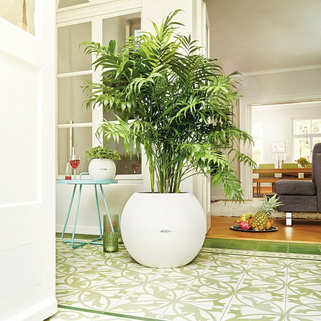 Кашпо с автополивом Lechuza Puro Color 50 Цвет: серый 