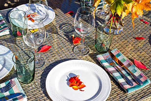 Обеденная группа Joygarden Rome светло-коричневый, садовая мебель