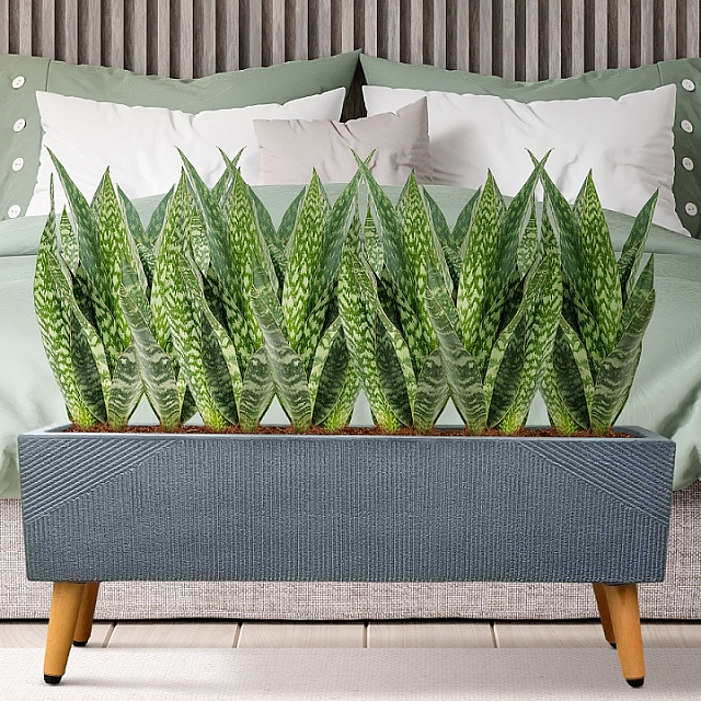 Кашпо Idealist Lite Урбан напольное прямоугольное с подставкой 65 Цвет: антрацит 