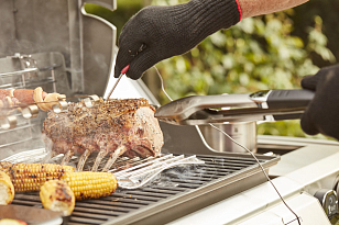 гриль газовый weber genesis ii sp-435 gbs