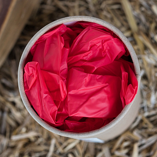 Одежда и аксессуары Перчатки одноразовые St.Tomato в тубусе красные L для BBQ