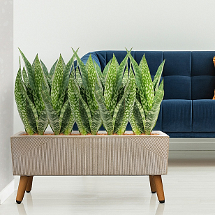 Кашпо Idealist Lite Урбан напольное прямоугольное с подставкой 65 Цвет: бежевый, уличное оборудование